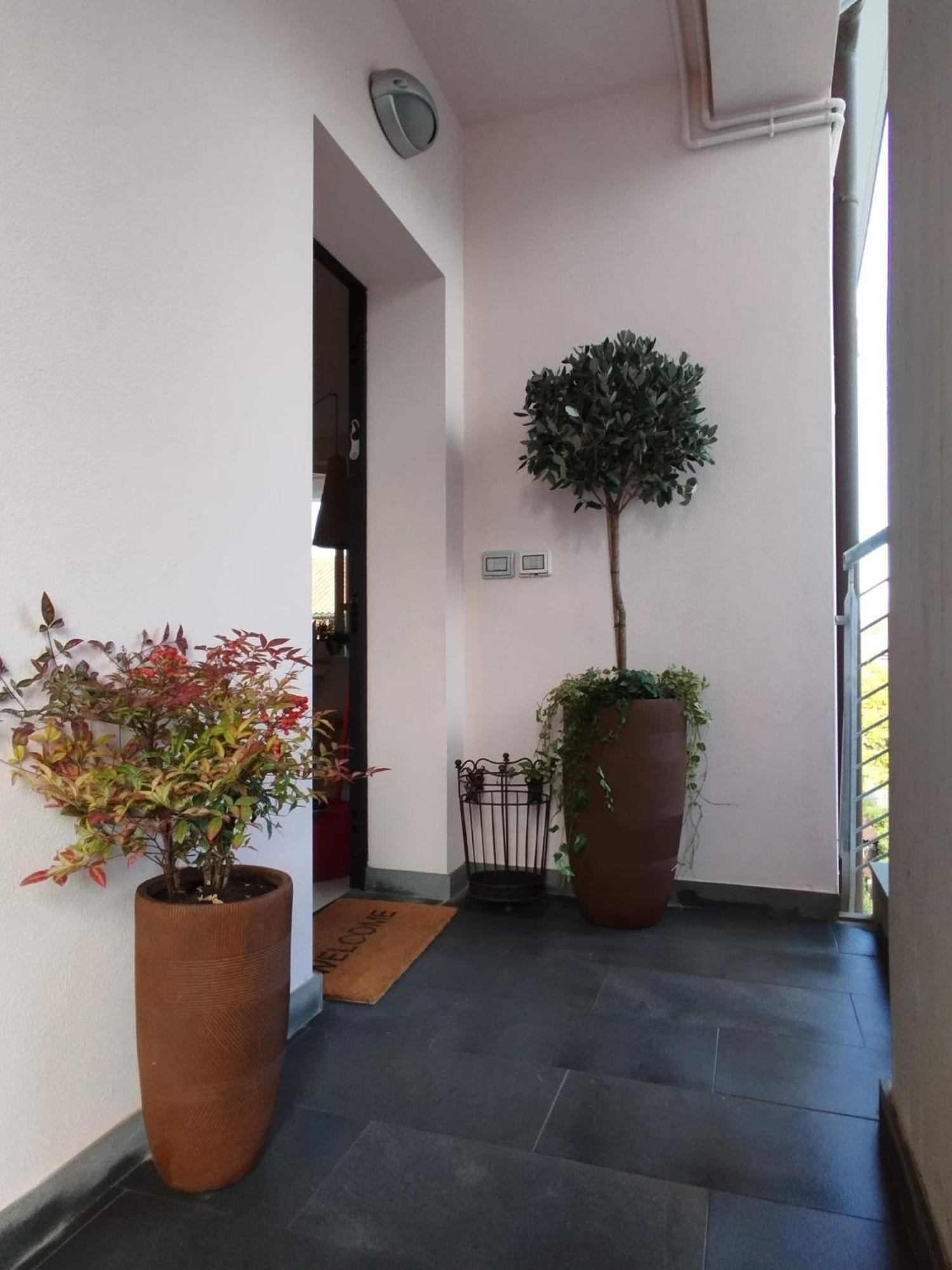 Casa Degli Aromi Appartement Lucca Buitenkant foto